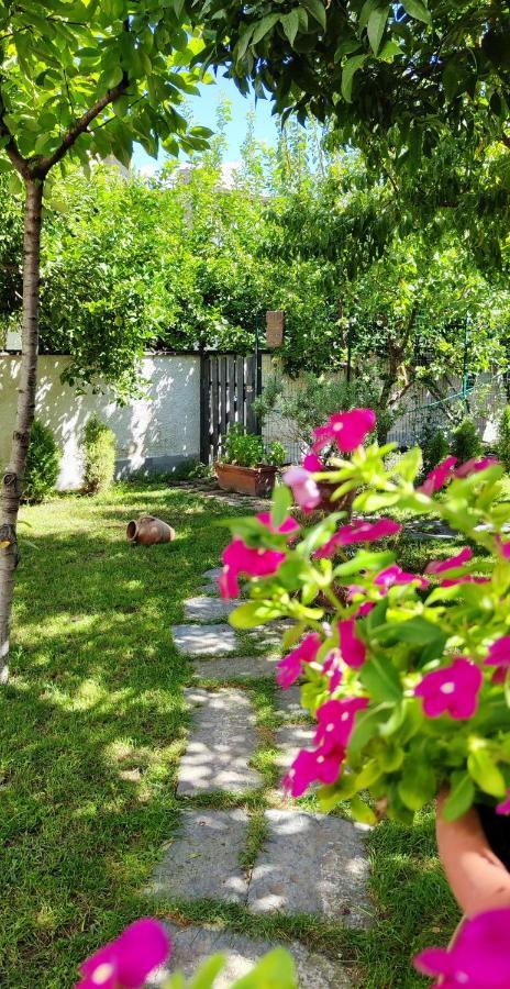 Casa Teresinella Garden Apartment Torre Annunziata Exterior photo
